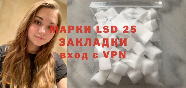 стафф Тавда