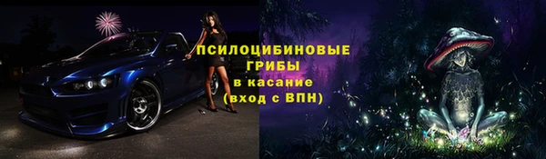 скорость Тайга