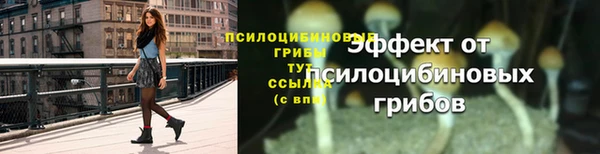 скорость Тайга
