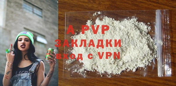 стафф Тавда