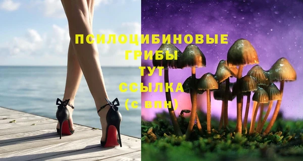 скорость Тайга