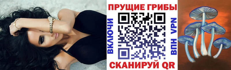Псилоцибиновые грибы прущие грибы  Купить  Киров 